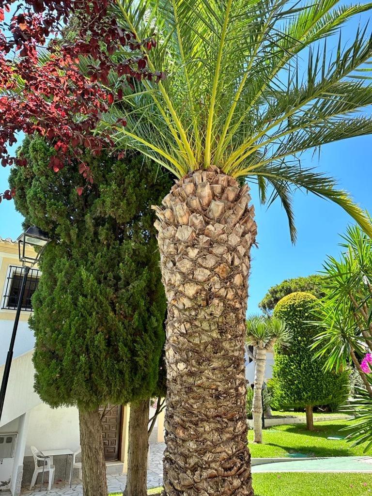 Casa De Emilia Vera Coast Playas de Vera Экстерьер фото