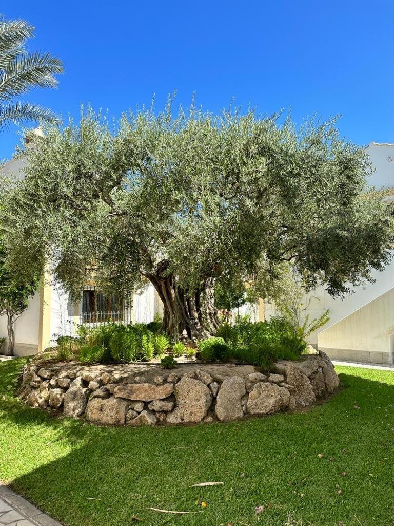 Casa De Emilia Vera Coast Playas de Vera Экстерьер фото